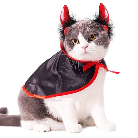 cat in devil costume